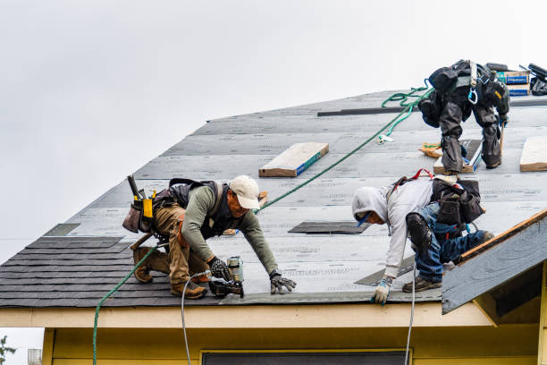 Professional Roofing technician working in Brighton, CO